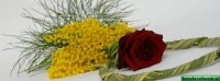 festa donne copy copy copy